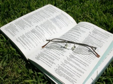 bible grass