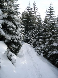 snow path